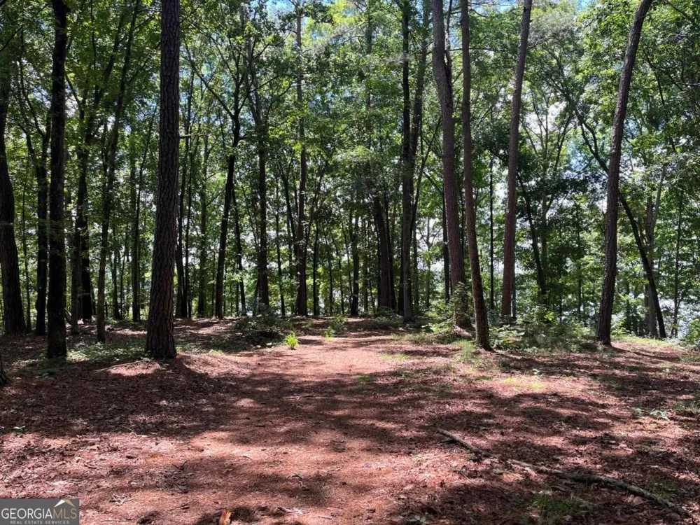 1595 Pullman LN Greensboro, GA 30642