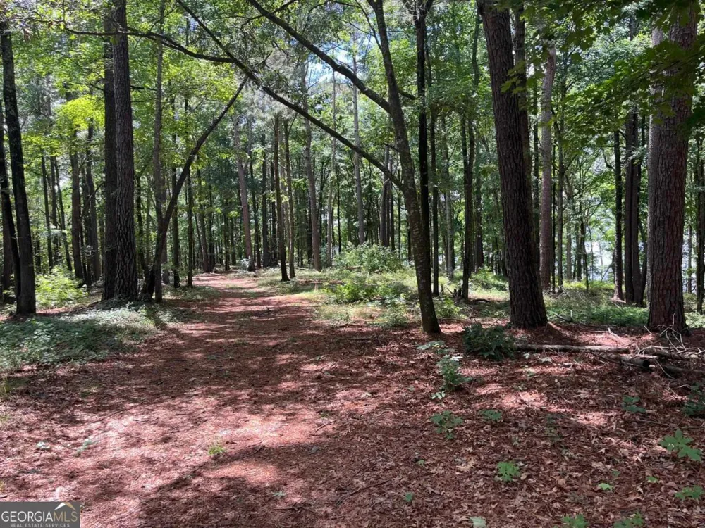 1595 Pullman LN Greensboro, GA 30642