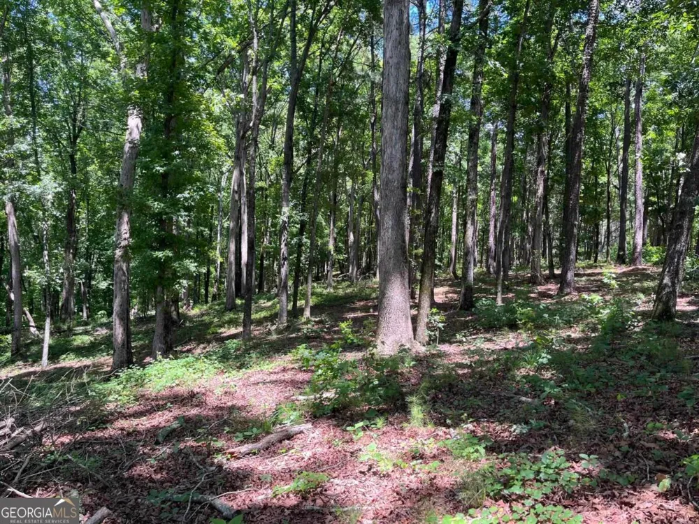 LOTS 1 & 2 Pullman LN Greensboro, GA 30642