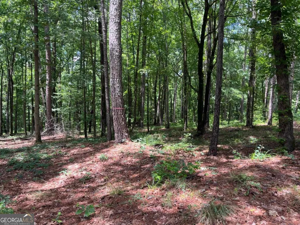 LOTS 1 & 2 Pullman LN Greensboro, GA 30642
