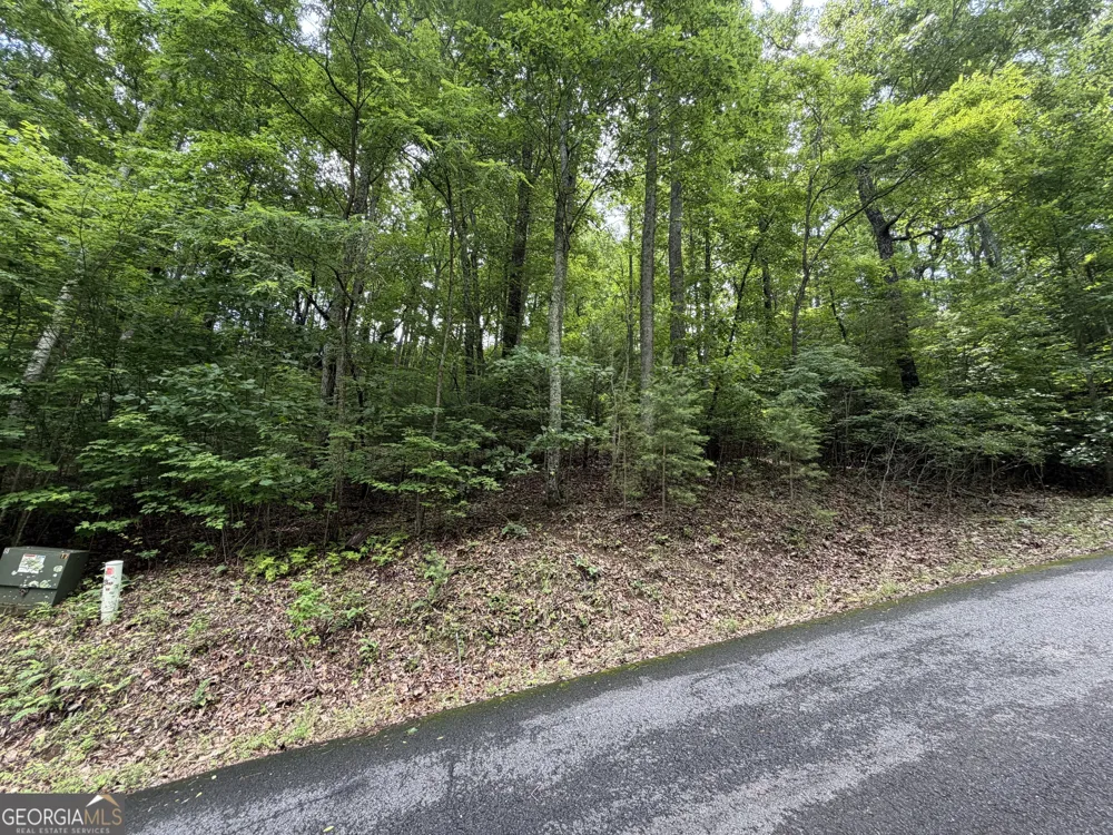 LOT 7 Mill Ridge RD Hiawassee, GA 30546