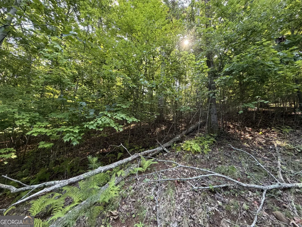 LOT 7 Mill Ridge RD Hiawassee, GA 30546