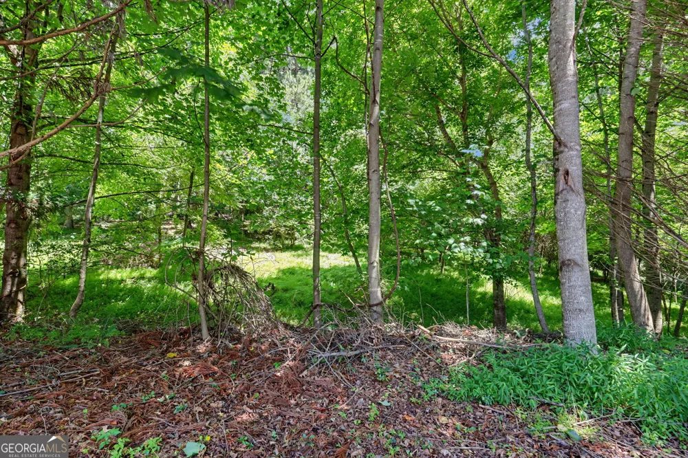938 Highway 515 W Blairsville, GA 30512