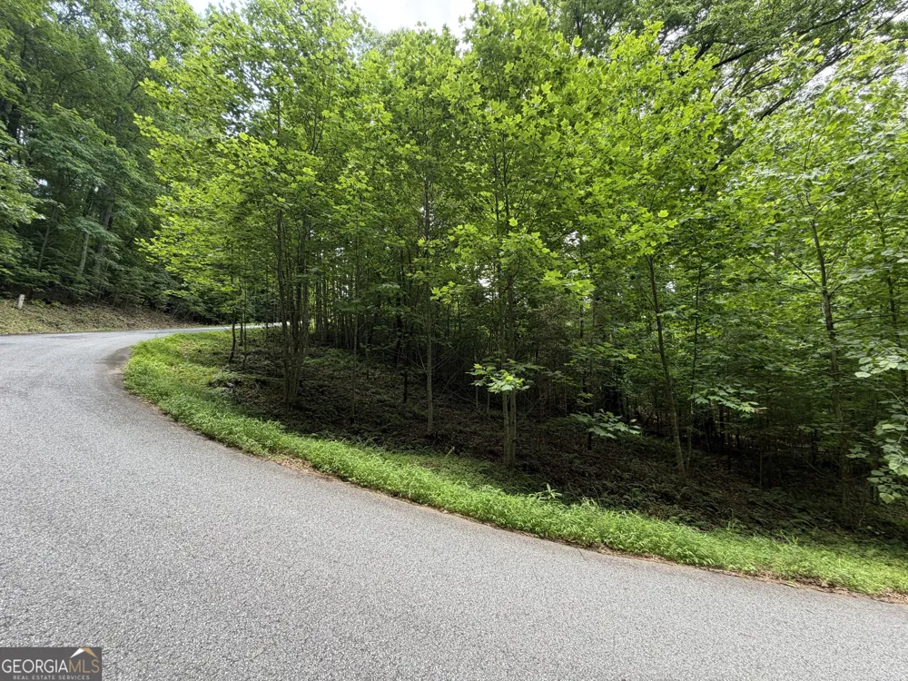 LOT 19 Mill Ridge RD Hiawassee, GA 30546