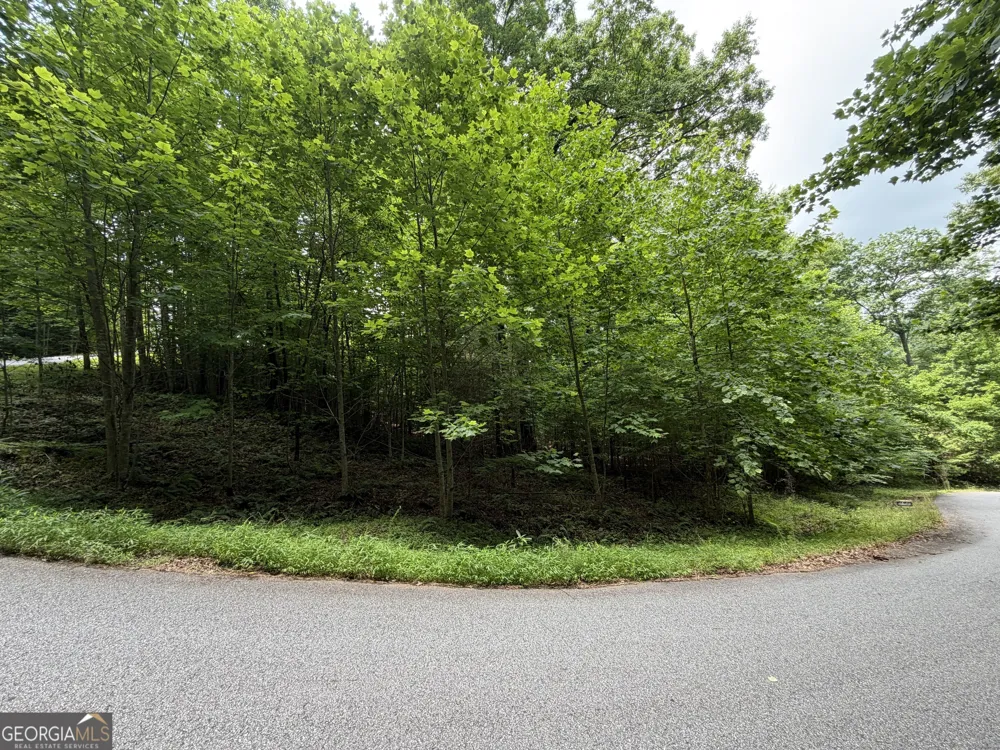 LOT 19 Mill Ridge RD Hiawassee, GA 30546