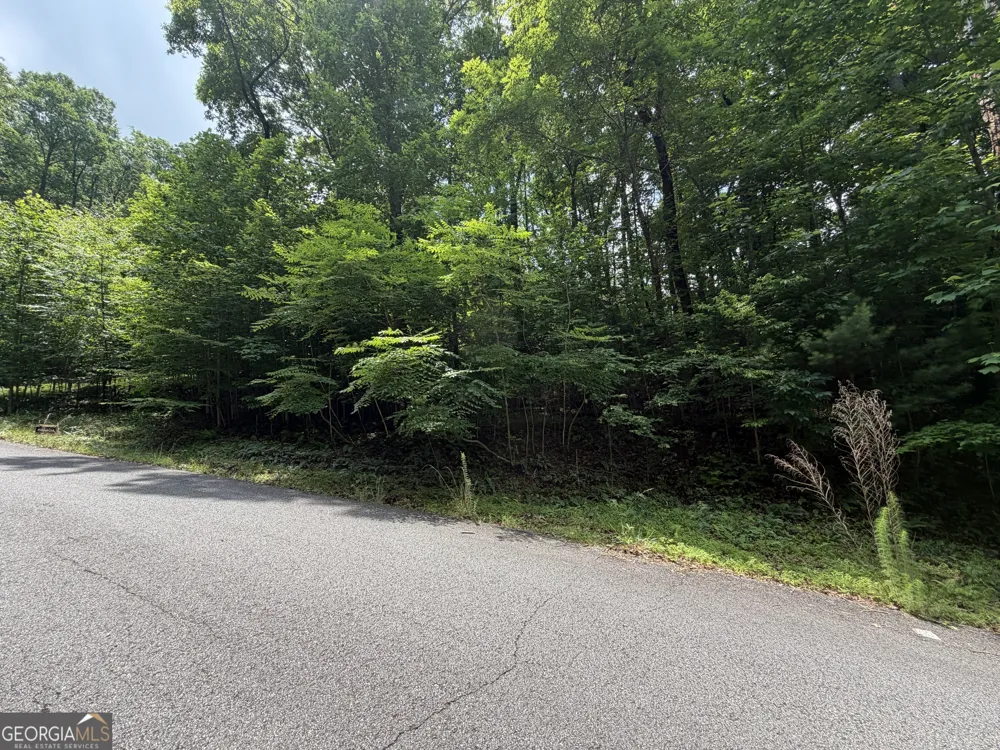 LOT 19 Mill Ridge RD Hiawassee, GA 30546