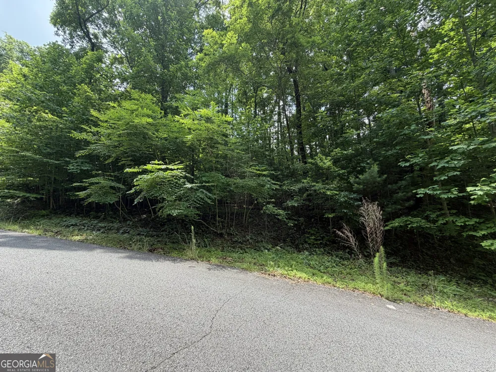 LOT 19 Mill Ridge RD Hiawassee, GA 30546