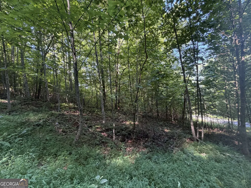 LOT 19 Mill Ridge RD Hiawassee, GA 30546