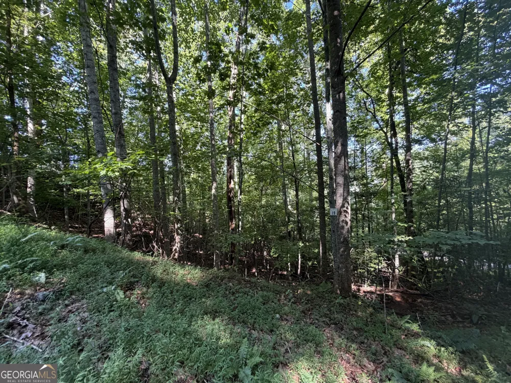 LOT 19 Mill Ridge RD Hiawassee, GA 30546