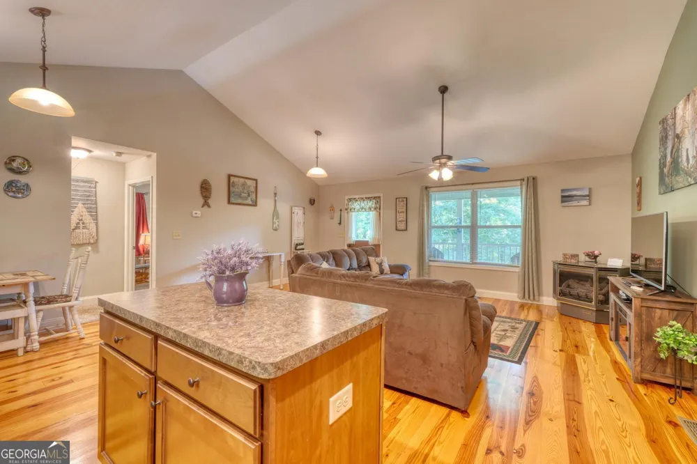 2270 Valley View DR Hiawassee, GA 30546