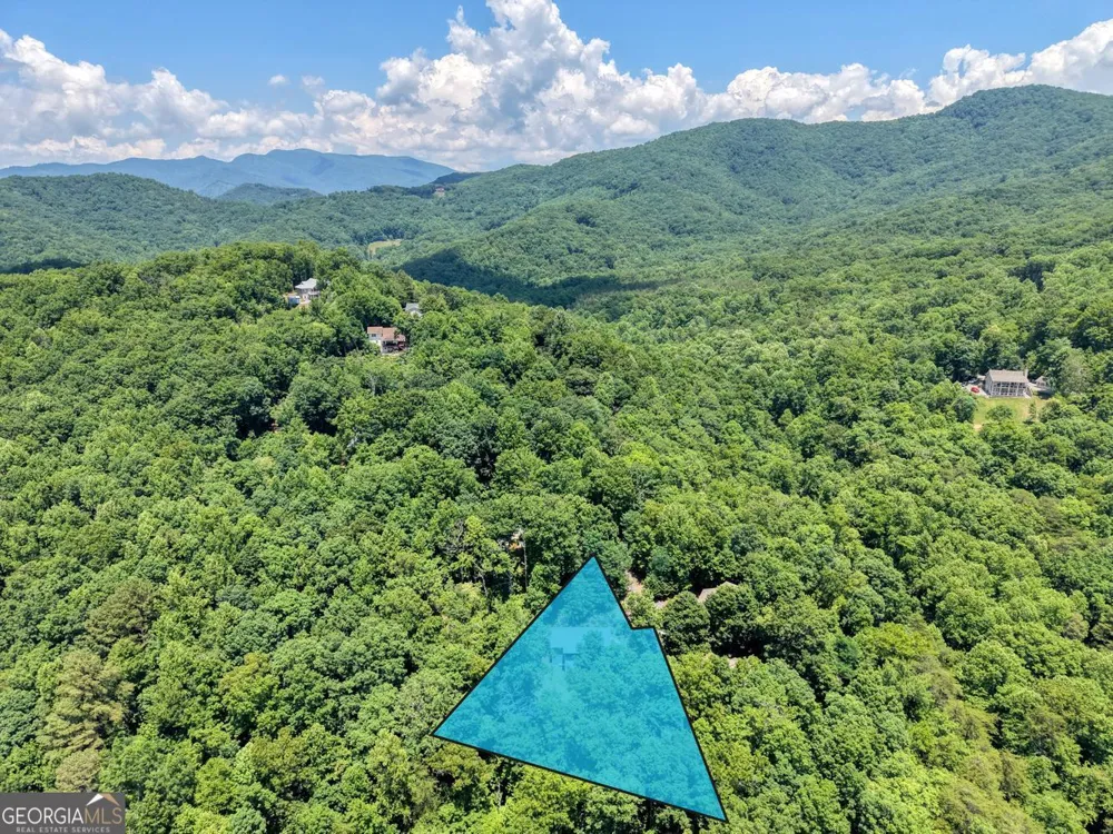 2270 Valley View DR Hiawassee, GA 30546