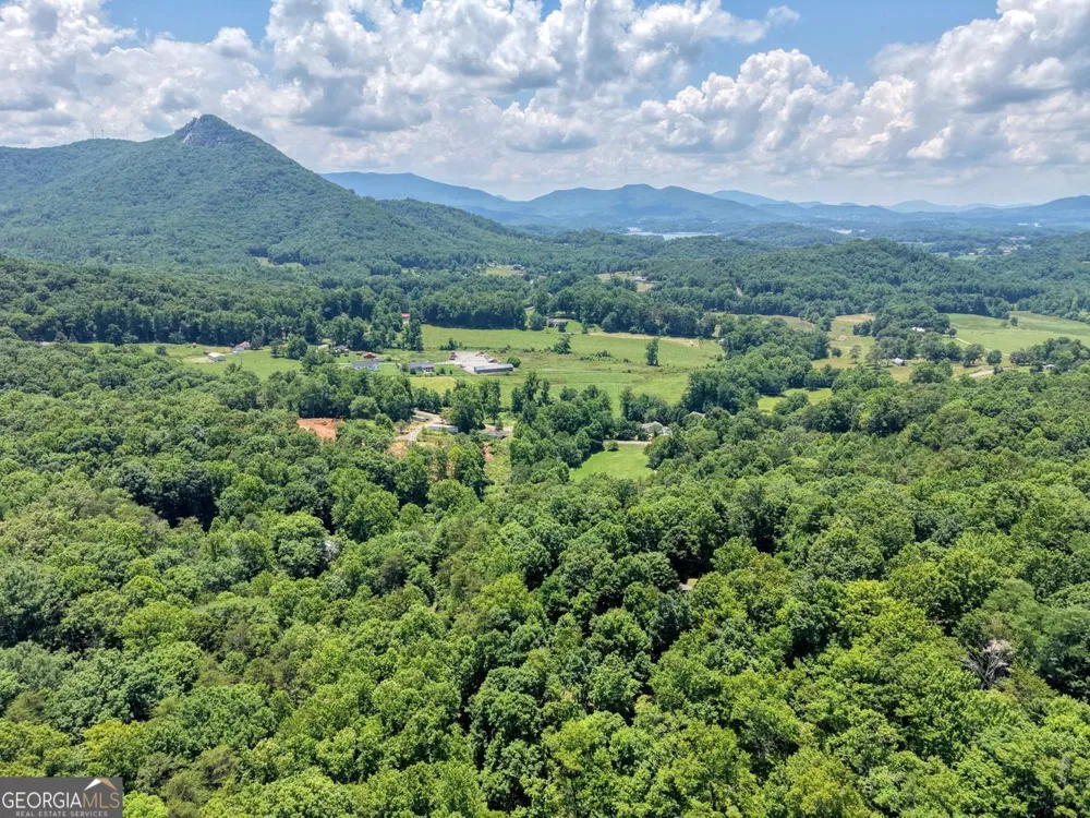 2270 Valley View DR Hiawassee, GA 30546