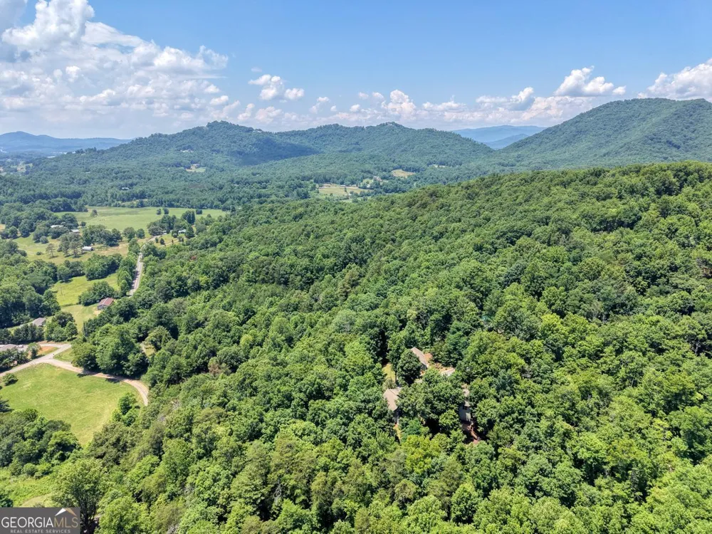 2270 Valley View DR Hiawassee, GA 30546