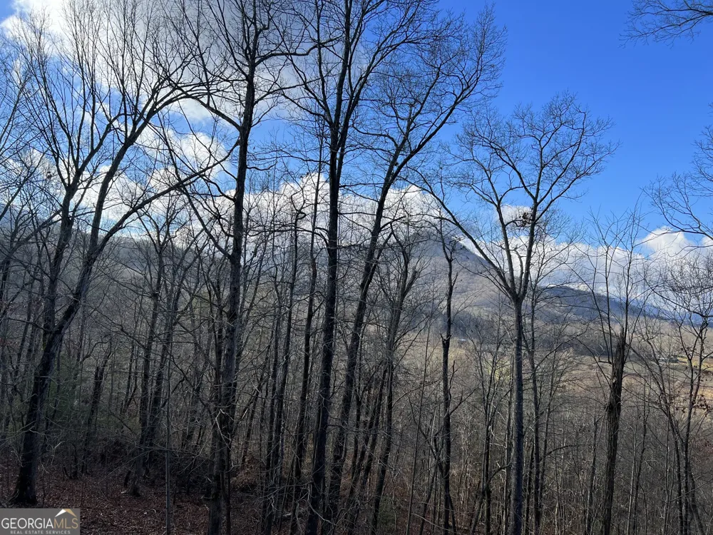 2270 Valley View DR Hiawassee, GA 30546