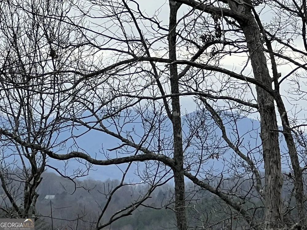 2270 Valley View DR Hiawassee, GA 30546