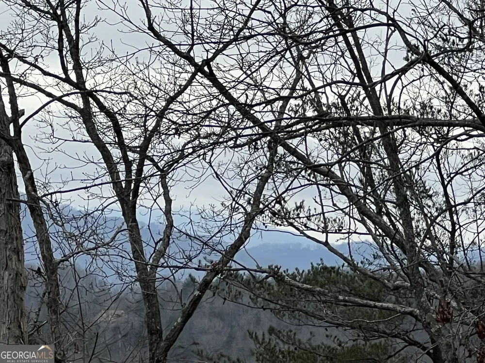 2270 Valley View DR Hiawassee, GA 30546