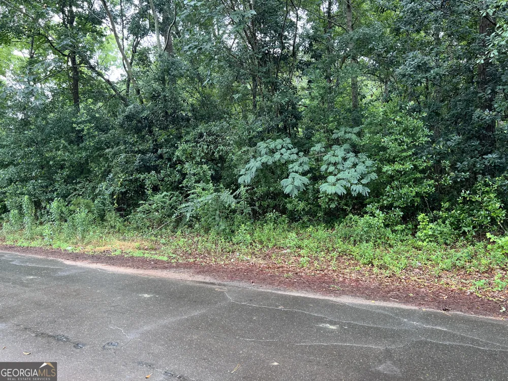 0 Harmony Richland, GA 31825