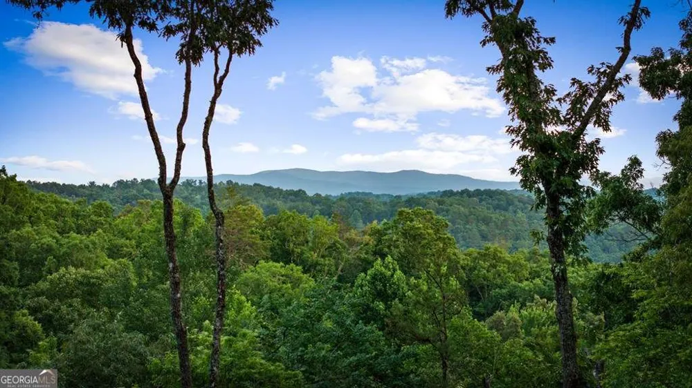 241 Wolf Creek Mountain RD Mineral Bluff, GA 30559