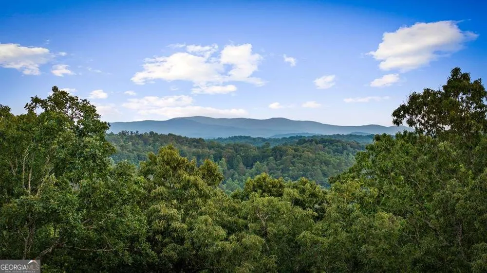 241 Wolf Creek Mountain RD Mineral Bluff, GA 30559