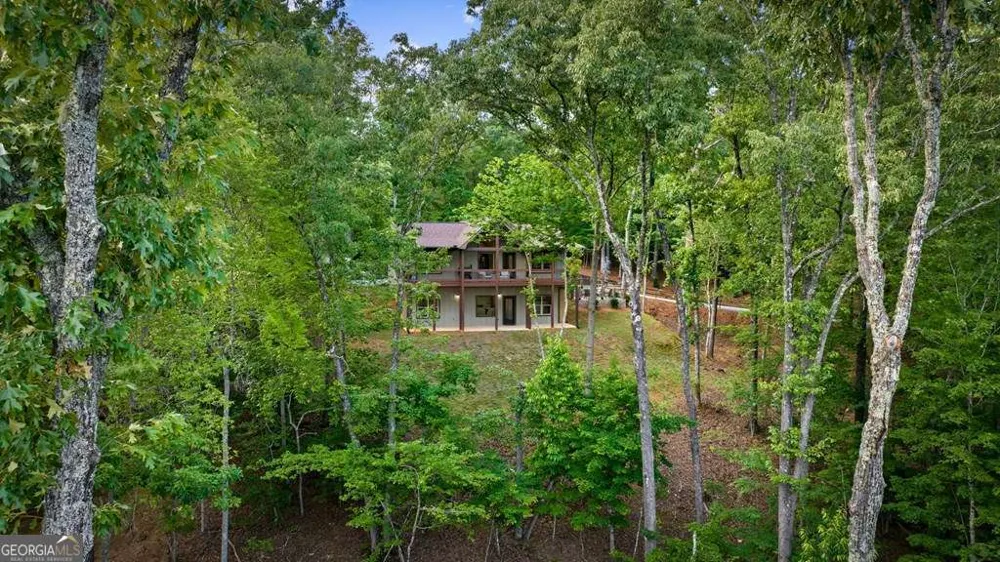 241 Wolf Creek Mountain RD Mineral Bluff, GA 30559