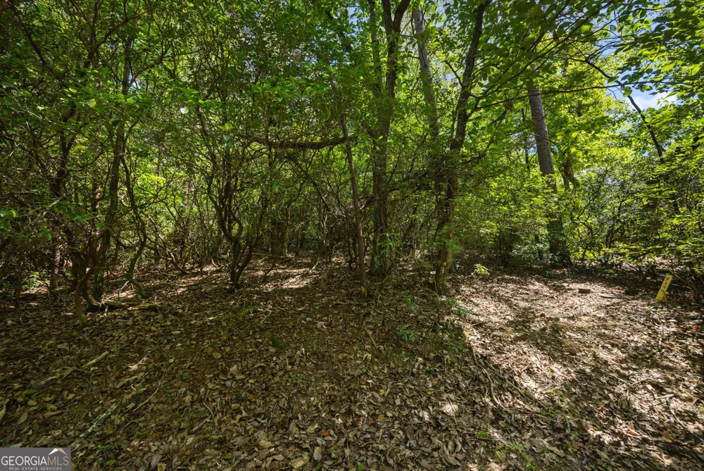 196 Cinnamon Fern LN Jasper, GA 30143