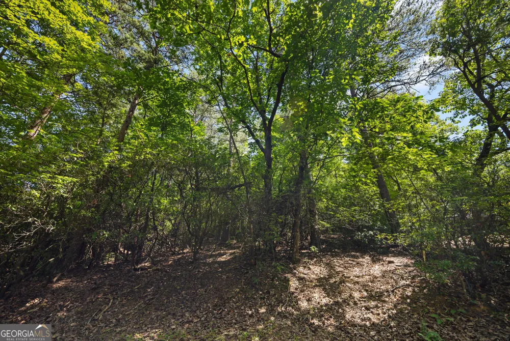 196 Cinnamon Fern LN Jasper, GA 30143