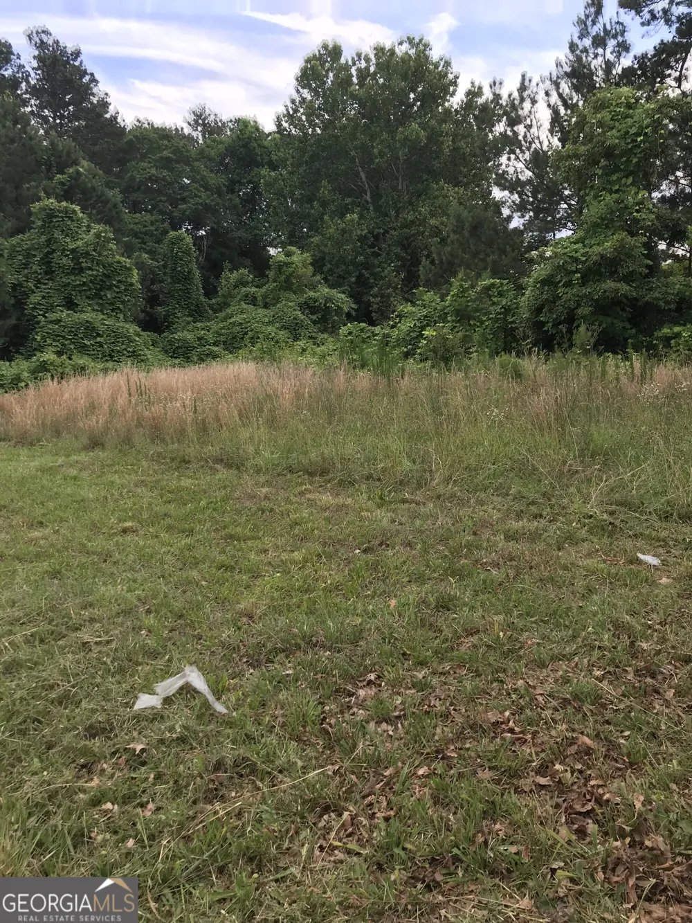 41 Bay Crest CT Loganville, GA 30052