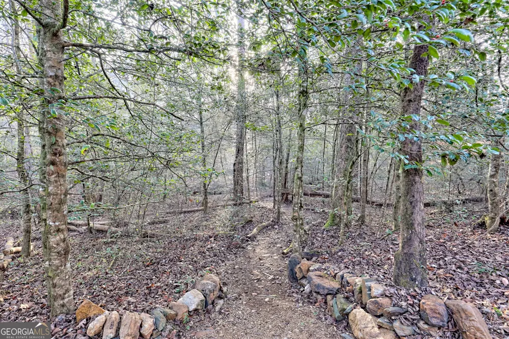 341 Brookwood LN Clarkesville, GA 30523