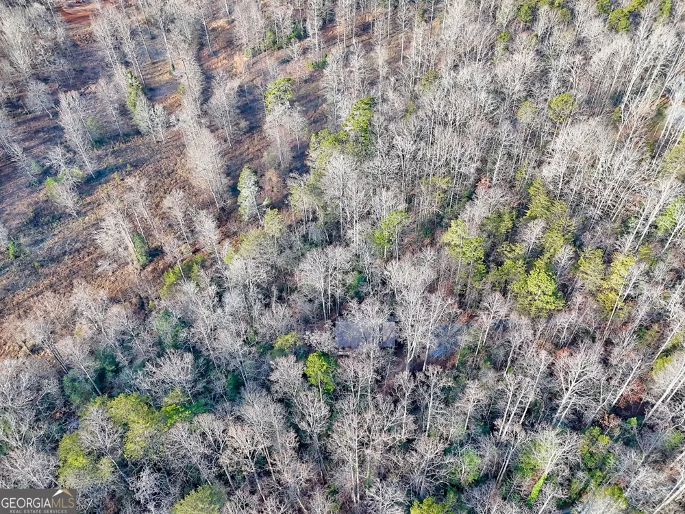 341 Brookwood LN Clarkesville, GA 30523