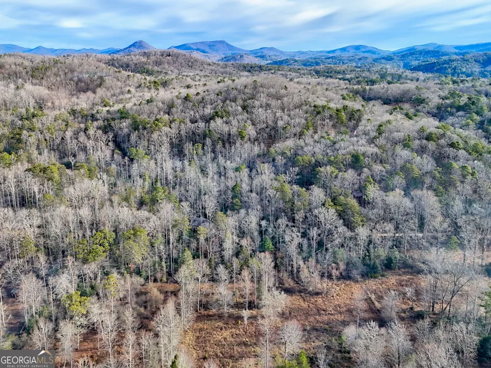 341 Brookwood LN Clarkesville, GA 30523