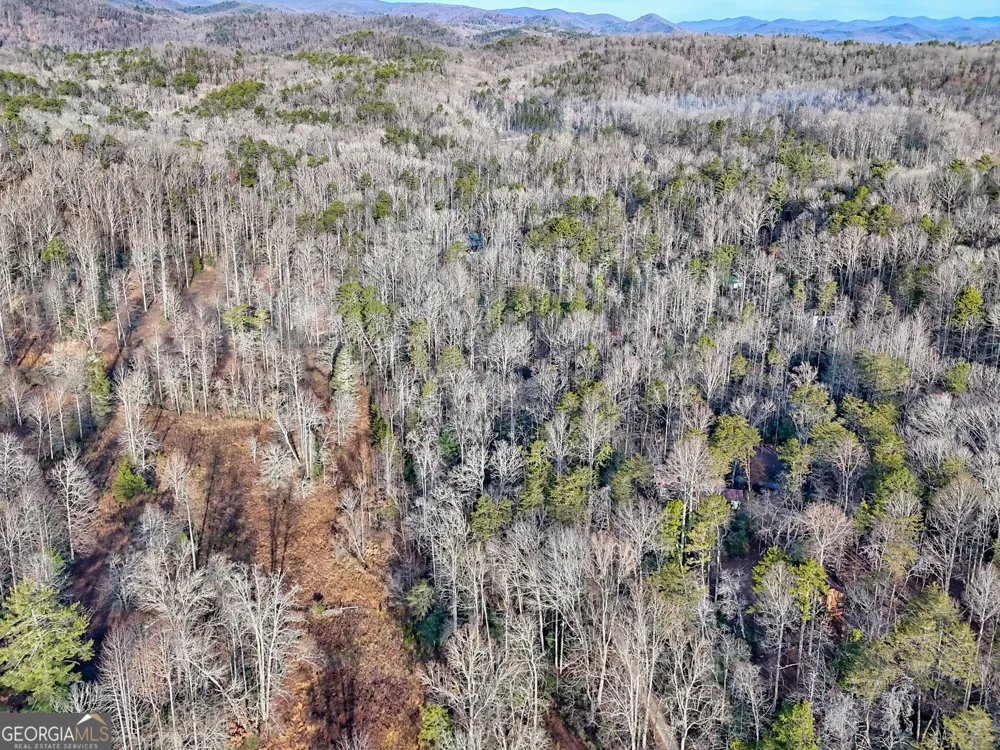 341 Brookwood LN Clarkesville, GA 30523