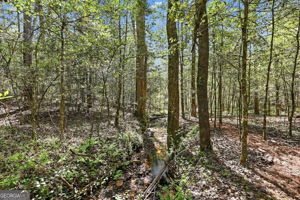 341 Brookwood LN Clarkesville, GA 30523