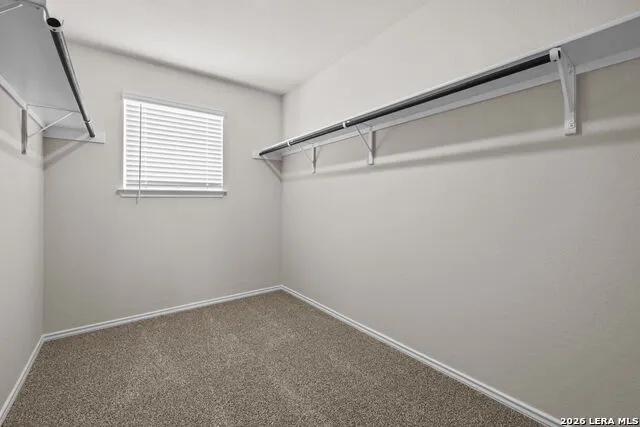 14668 Clay Ridge Run San Antonio, TX 78253