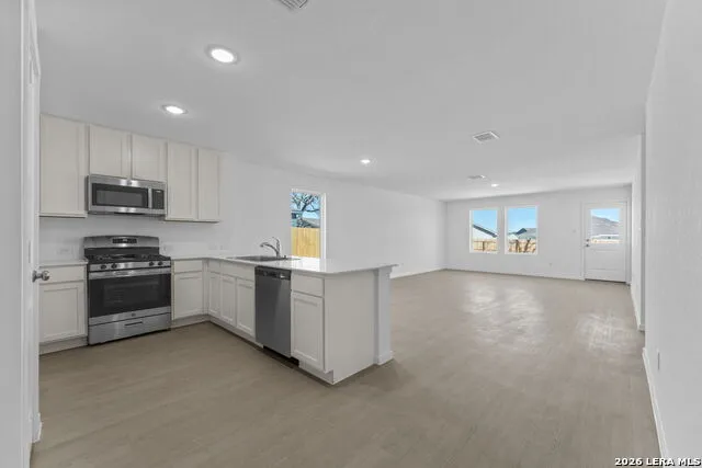 114 Ellendale Place Fredericksburg, TX 78624