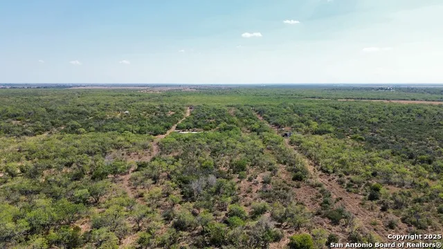 7365 Leal Rd Pleasanton, TX 78064