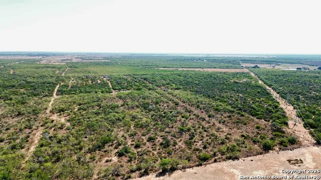 7365 Leal Rd Pleasanton, TX 78064