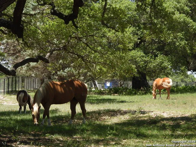 772 HAGER RDG Bandera, TX 78003