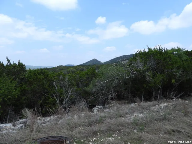 701 S Goat Pipe Creek, TX 78063