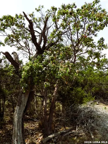 701 S Goat Pipe Creek, TX 78063