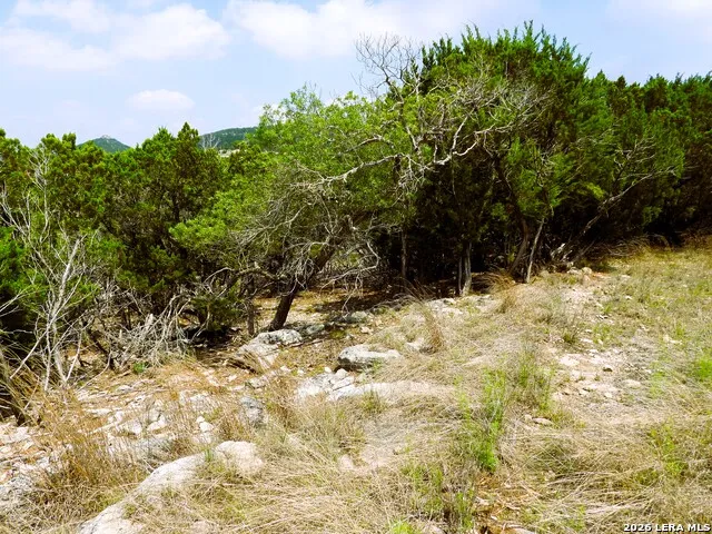 701 S Goat Pipe Creek, TX 78063