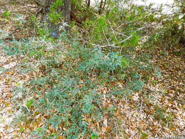 701 S Goat Pipe Creek, TX 78063