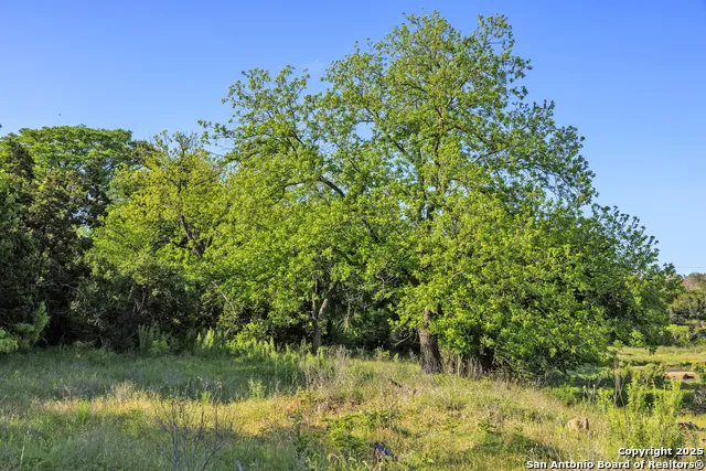 2195 Langes Mill Road Doss, TX 78618