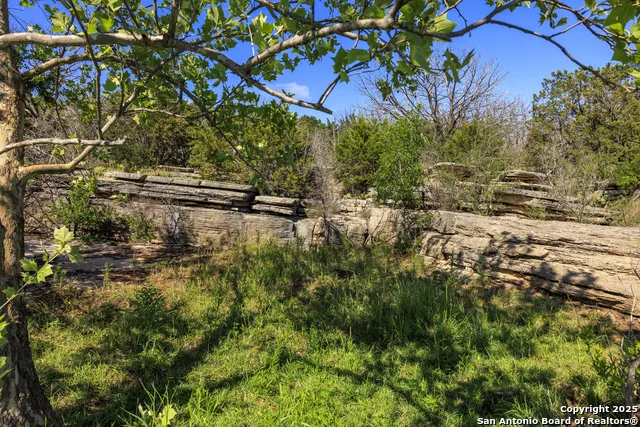 2937 Langes Mill Road Doss, TX 78618