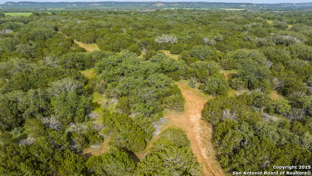 2937 Langes Mill Road Doss, TX 78618