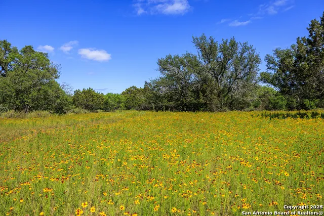 2937 Langes Mill Road Doss, TX 78618