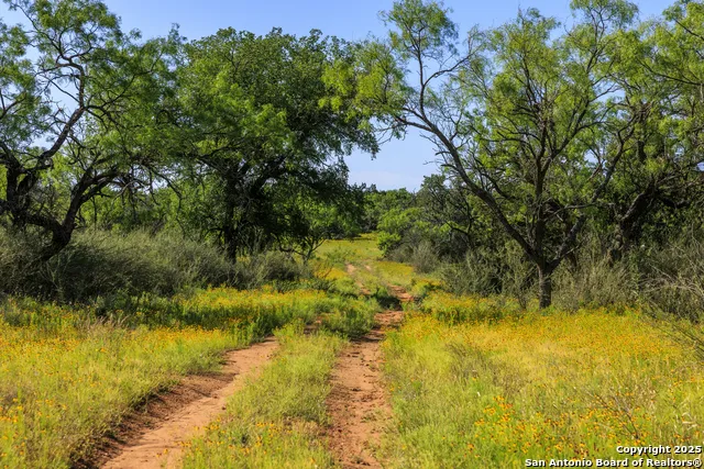 2937 Langes Mill Road Doss, TX 78618