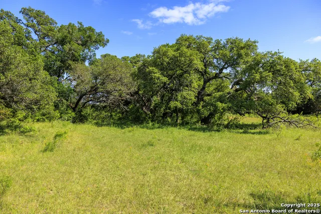2937 Langes Mill Road Doss, TX 78618