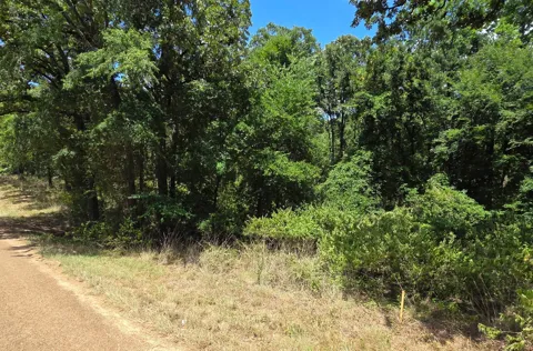 Hickory Street #Lot 90