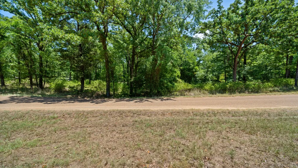 Hickory Street #Lot 90 Mabank, TX 75156