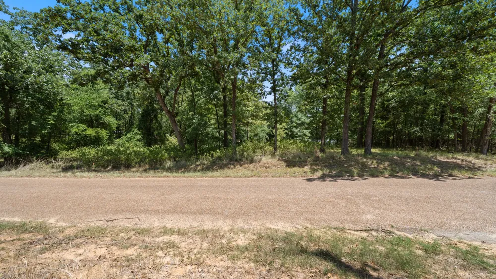 Hickory Street #Lot 91 Mabank, TX 75156